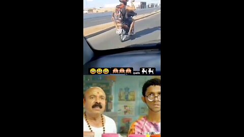 Dog driver