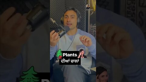 Plants are smart. #plants #animals #tricks #evolution #flowers #fruits #punjabi #podcast #hunting