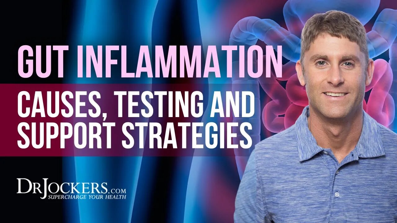 Gut Inflammation: Causes, Testing and Support Strategies