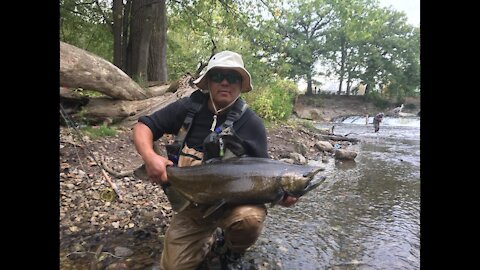 Milwaukee River Salmon Fishing Fall 2020