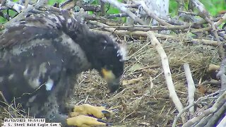 USS Bald Eagle Cam 1 5-13-23 @ 19:51 Hop cast pellet