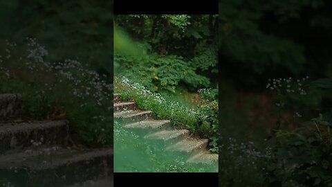 Remove Anything From Image in Photoshop Beta using Generative Fill #mcddesigner #generativefill