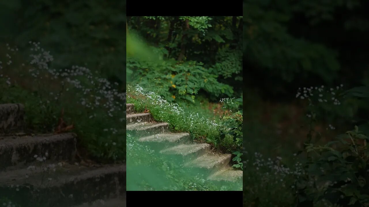 Remove Anything From Image in Photoshop Beta using Generative Fill #mcddesigner #generativefill