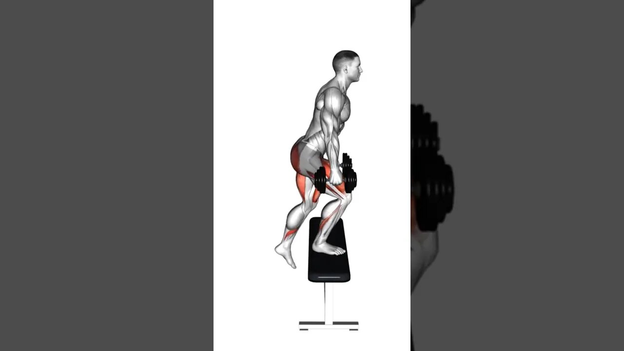 Training leg :Dumbbells+legs=Strong legs