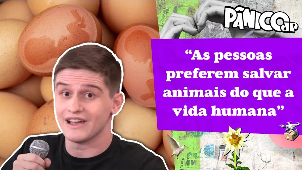 EXPERIMENTO SOCIAL DE LUCAS PAVANATO: OVO SILVESTRES X ABORTO
