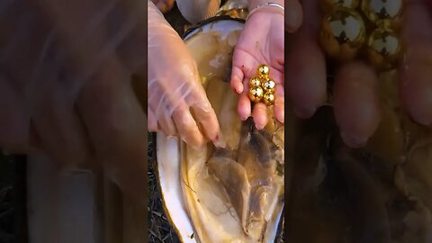 giant clamshell with golden pearls 🪙 #shorts