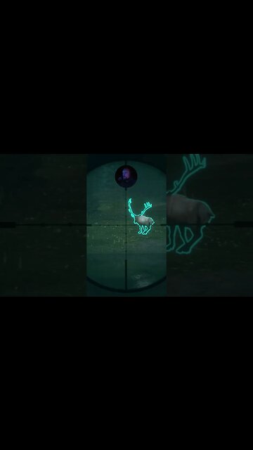 Moving Target #callofthewild #thehuntercallofthewild #cotw #mrandmrswolfgaming #shorts