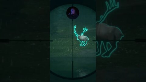 Moving Target #callofthewild #thehuntercallofthewild #cotw #mrandmrswolfgaming #shorts