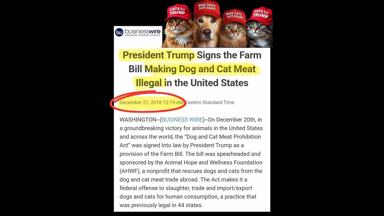 << CAUTION VERY GRAFFIC >> DOG BBQ