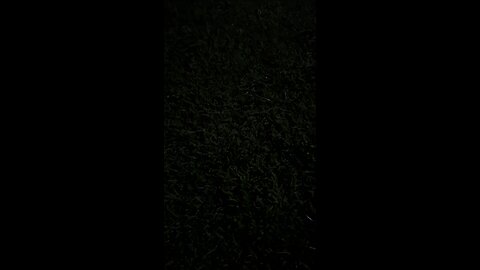 OBI dogs intro to the internet