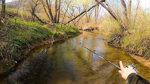 Fishing for TROUT in a Sandy, Silty Stream