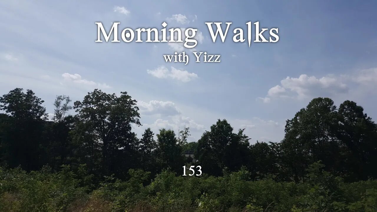 Morning Walks with Yizz 153