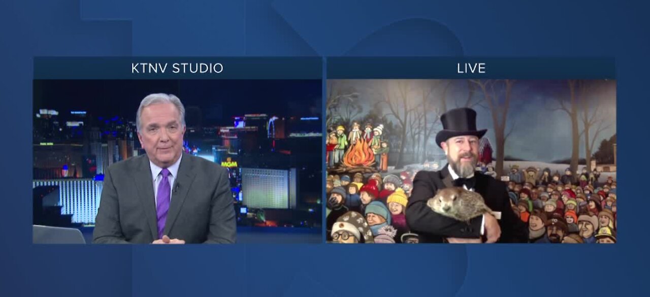 Groundhog Day becomes latest holiday affected by pandemic