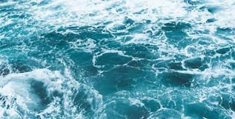 SeaWorld Celebrates World Ocean Day