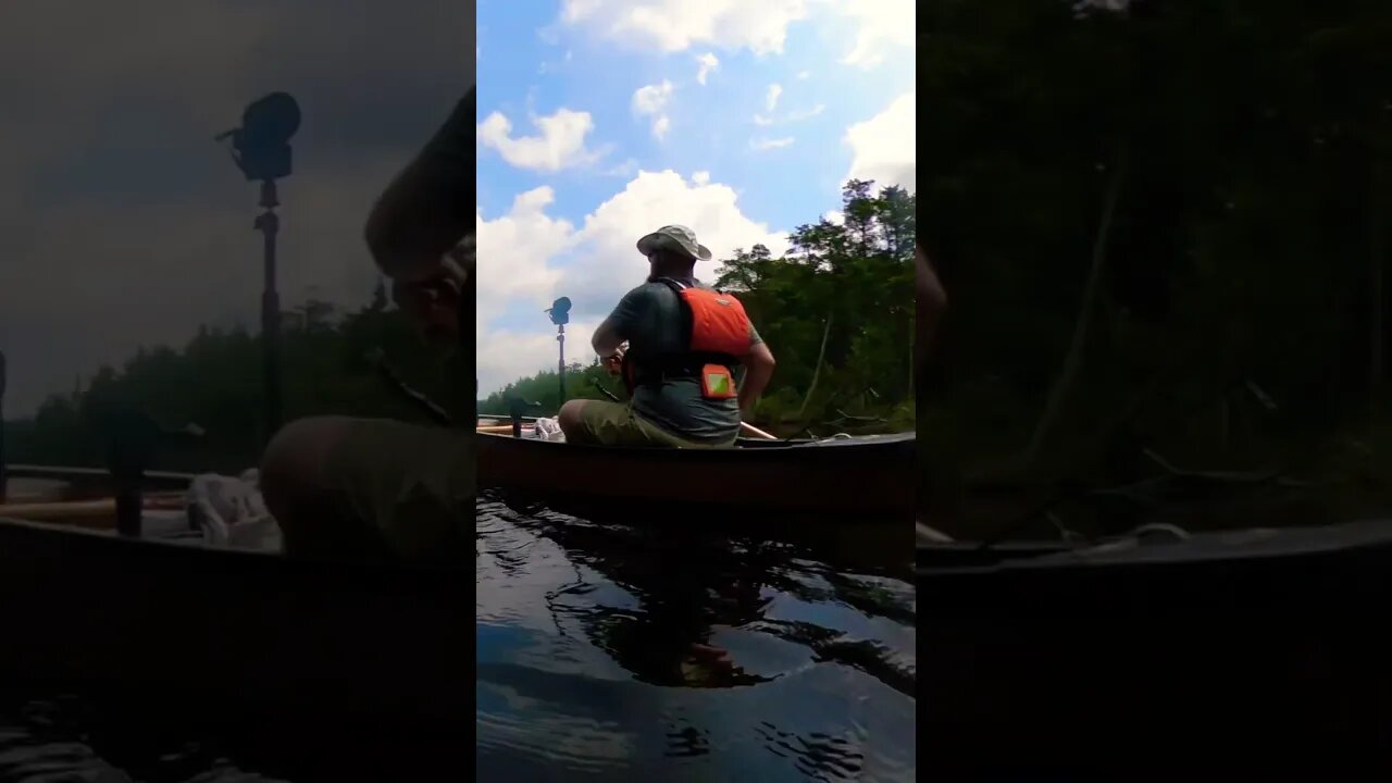 One of my boys and I on a nice quiet paddle. #ASMR #peaceful #canoe #paddle