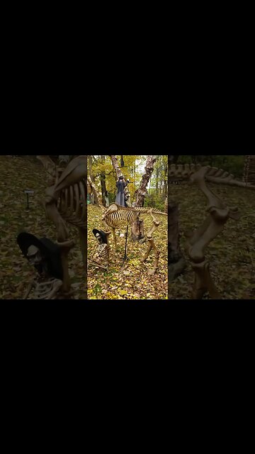 Halloween spooks #halloween #haunted #ghost #metaldetecting #shorts #decoration