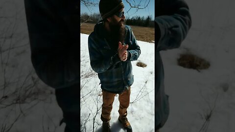 Spring time walk #vlog #ohhighbud #rurallife #ontario