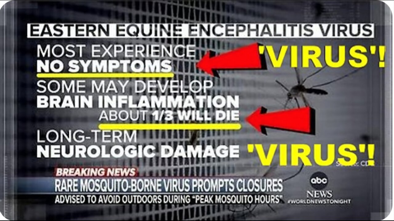 WARNING! The NON Existing Deadly Mosquito 'Virus' With No Symptoms & 33% Death Rate!