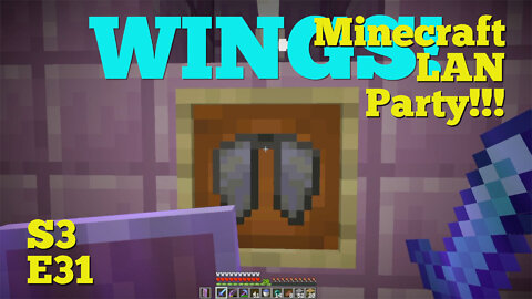 Minecraft LAN Party! Season 3Episode 31 - Wings!