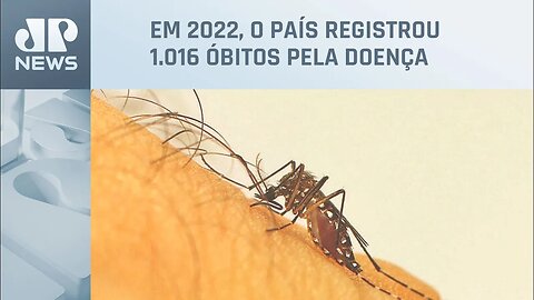 Após recorde de mortes por dengue, Brasil tem 218 cidades com alto risco
