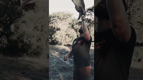 South Africa series PREVIEW!