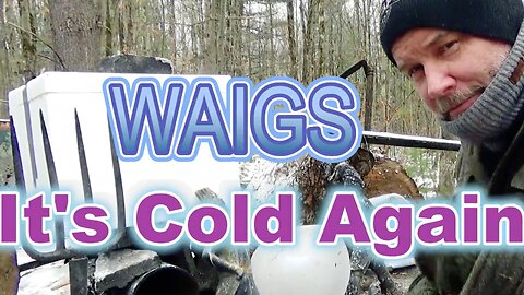 WAIGS Cold Again