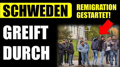 🚨BRISANT! Schweden startet REMIGRATION!(Unglaubliche Details in diesem Video!)@JD und Politik🙈