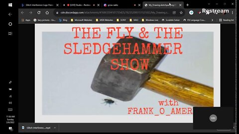 The Fly & The Sledgehammer Show
