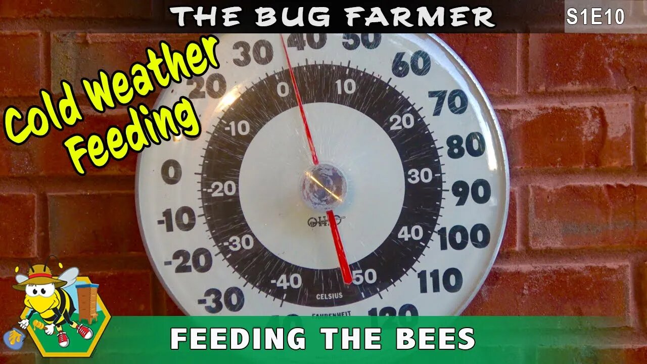 Cold Weather Beehive Feeding - Topping off the hive with syrup before winter and fixing hive heater.