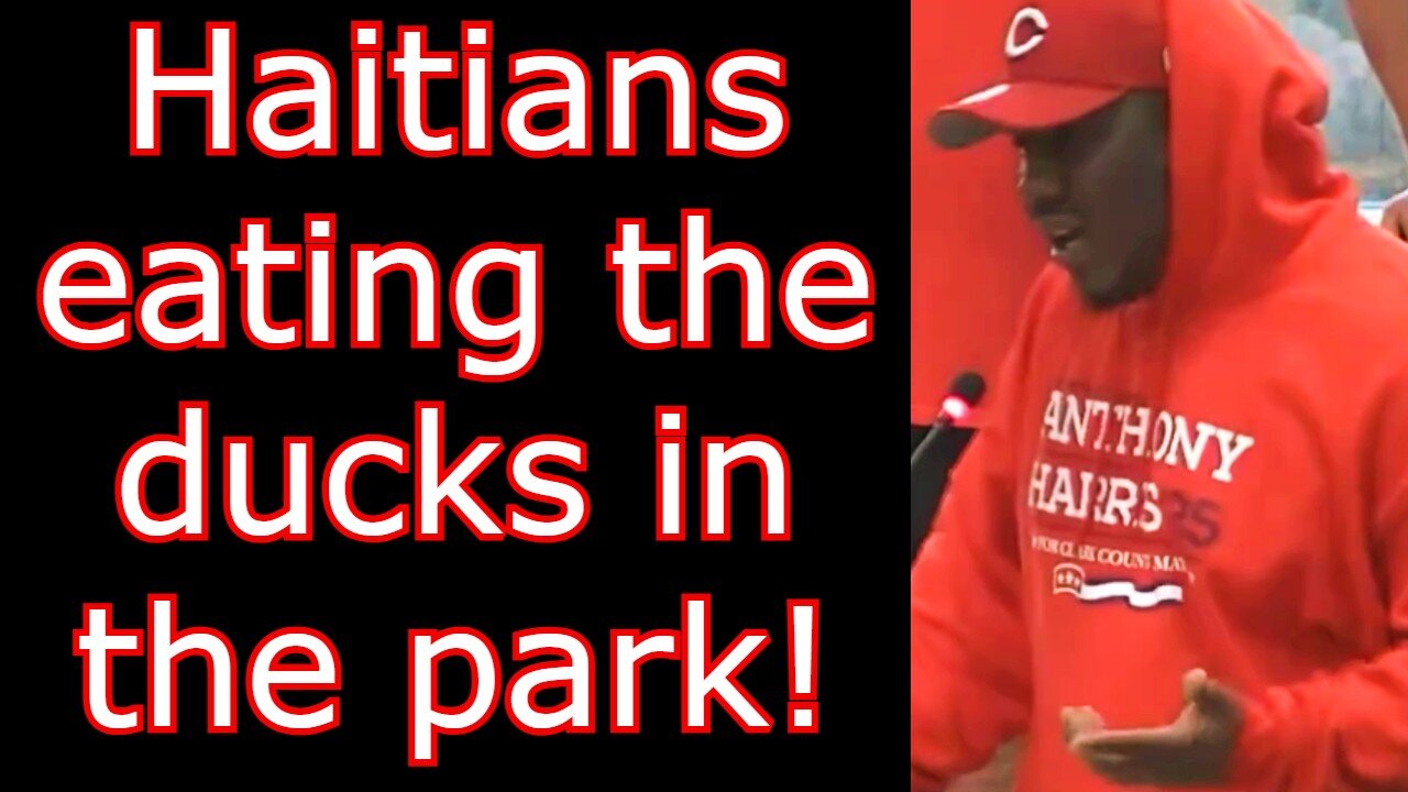 "Haitians are in the park grabbing ducks, cutting the heads off, and eating them"🔥🔥🔥