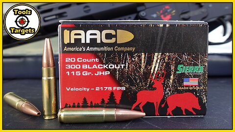 Hog Medicine!...AAC 300 Blackout Sierra Sports Master AMMO Ballistic Gel Test and Review!