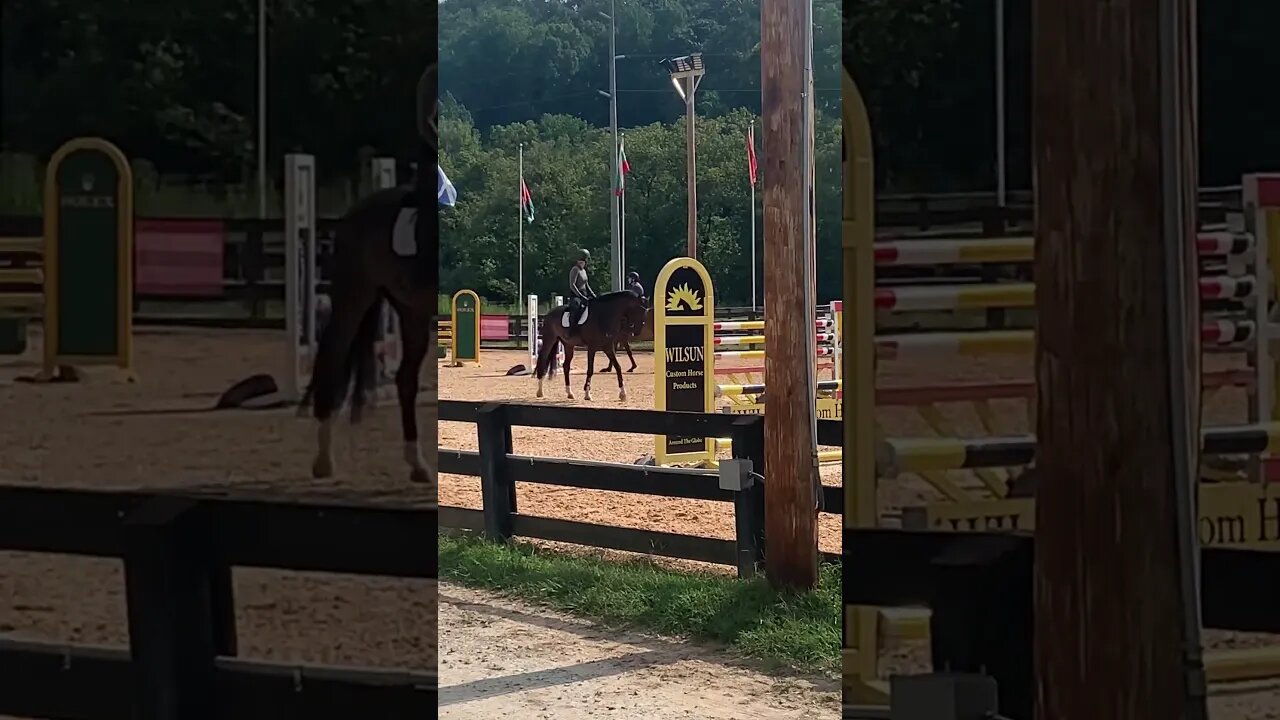 Zoooom