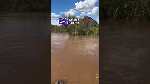 RECORD LEVEL RAIN IN ARIZONA 🚨