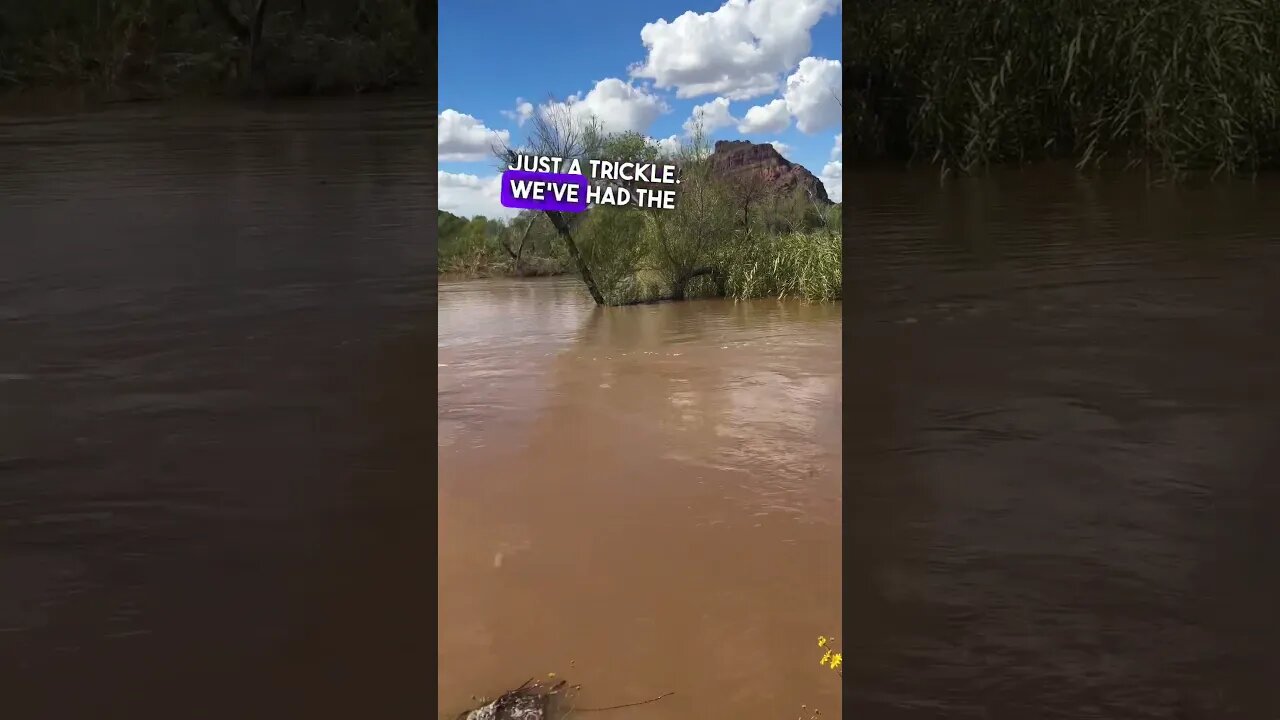 RECORD LEVEL RAIN IN ARIZONA 🚨