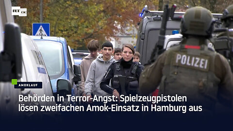 Behörden in Terror-Angst: Spielzeugpistolen lösen zweifachen Amok-Einsatz in Hamburg aus