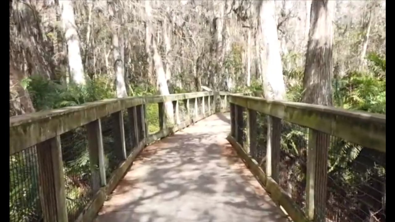 Local wildlife refuge not maintained during shutdown
