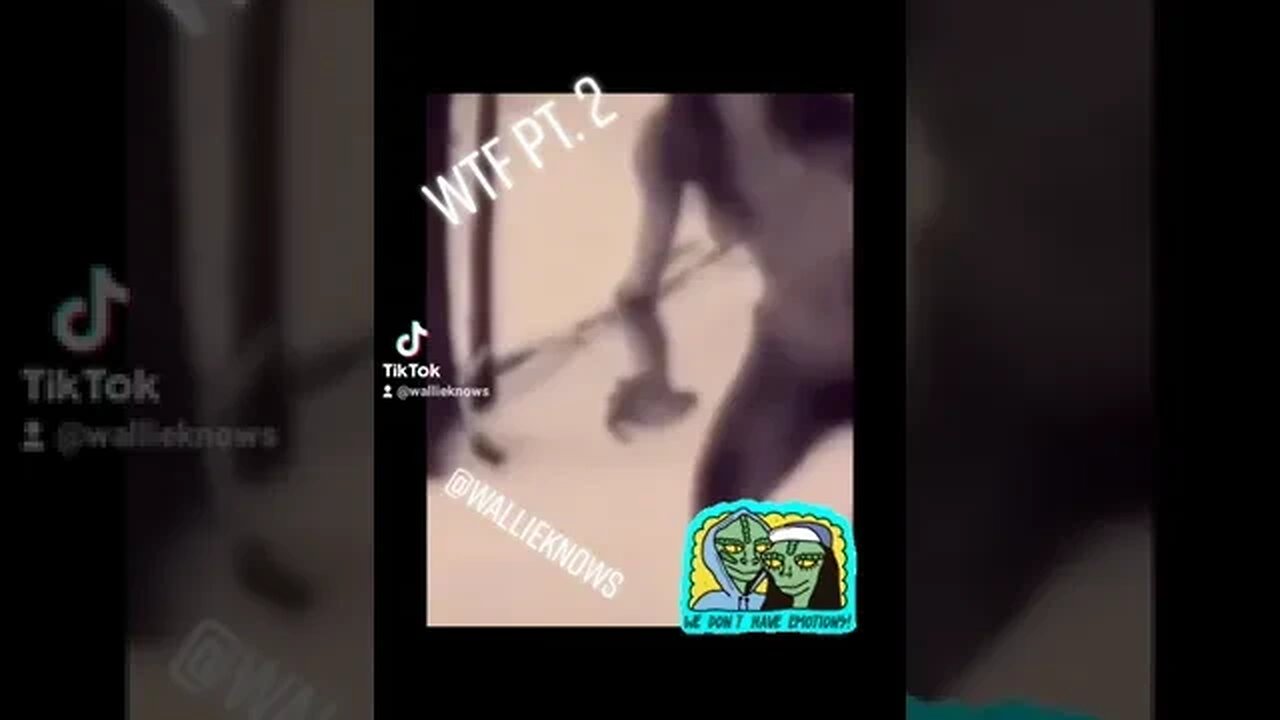 wtf2