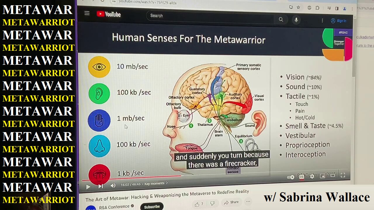 Meta-Warfare w/ Sabrina Wallace