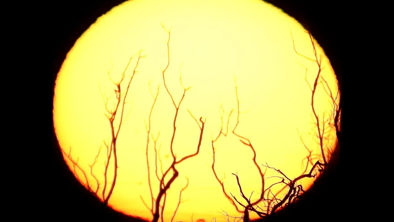 Tranquil Sunset in Australia (May 10-2023) Nikon P1000