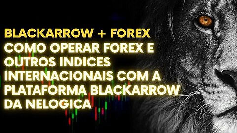 COMO OPERAR FOREX E OUTROS INDICES INTERNACIONAIS COM A PLATAFORMA BLACKARROW DA NELOGICA