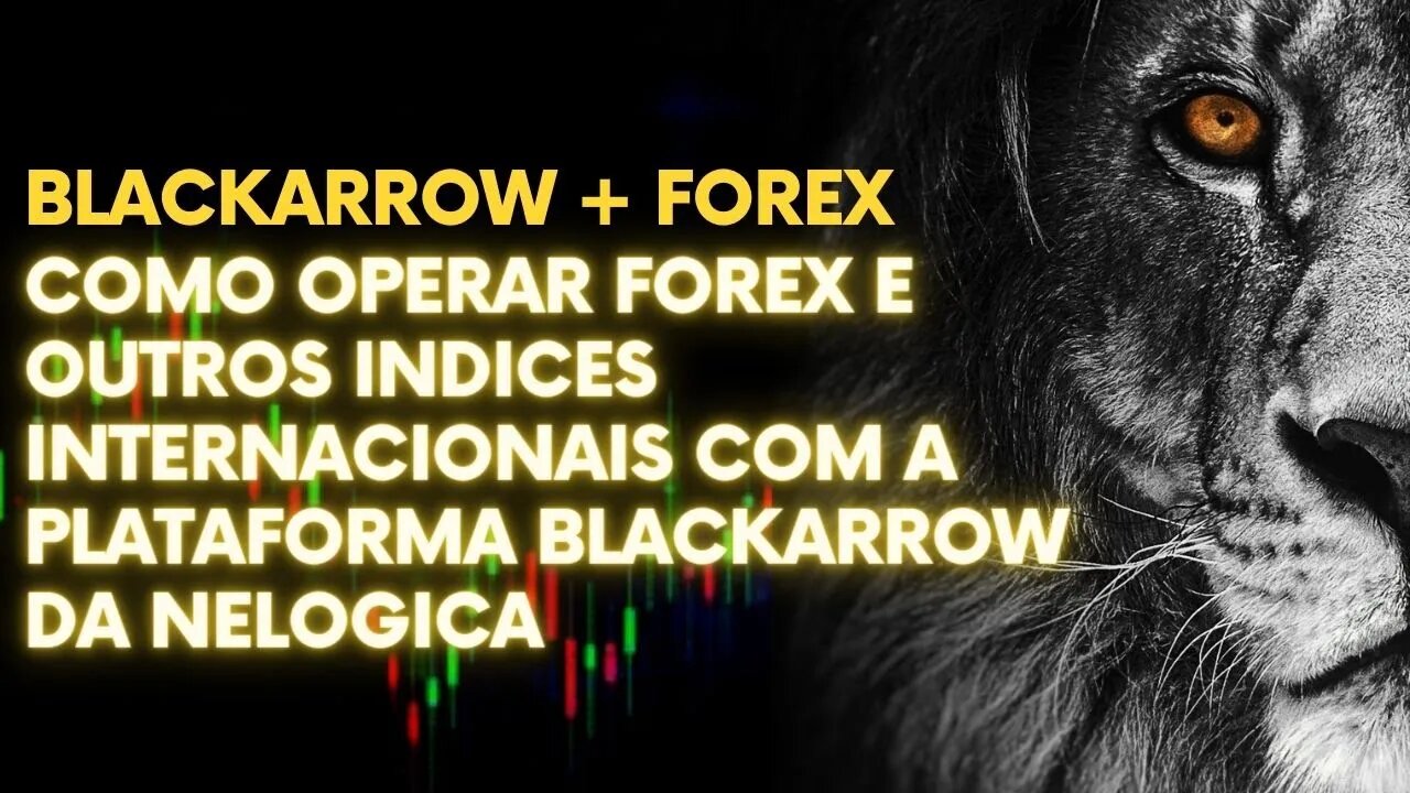COMO OPERAR FOREX E OUTROS INDICES INTERNACIONAIS COM A PLATAFORMA BLACKARROW DA NELOGICA