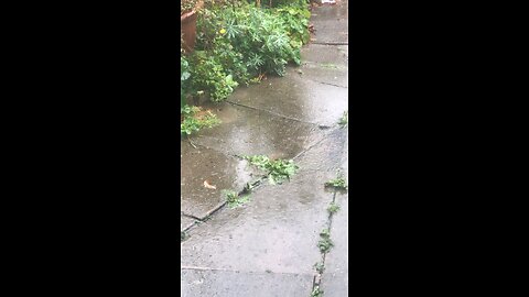 Wales 🏴󠁧󠁢󠁷󠁬󠁳󠁿🌧✈️✈️✈️✈️🇬🇧 so much rain and more rain for few days now26/09/2024