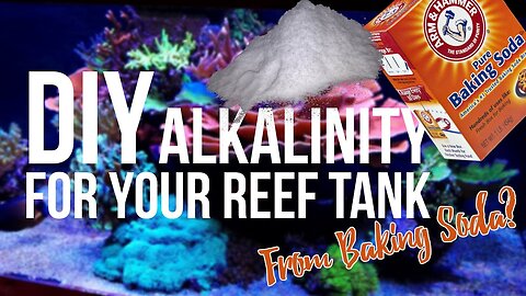 How to DIY Alkalinity for Your Coral Aquarium (Super Easy Recipe)