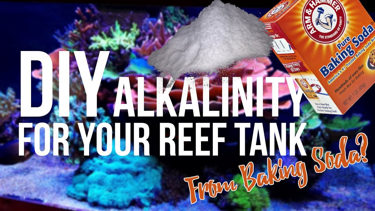 How to DIY Alkalinity for Your Coral Aquarium (Super Easy Recipe)