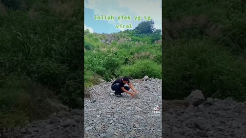 bidadari muncul tiba tiba