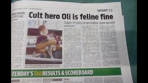 Cult hero cats, stolen green caps and royal white hats carry the Cabal comms