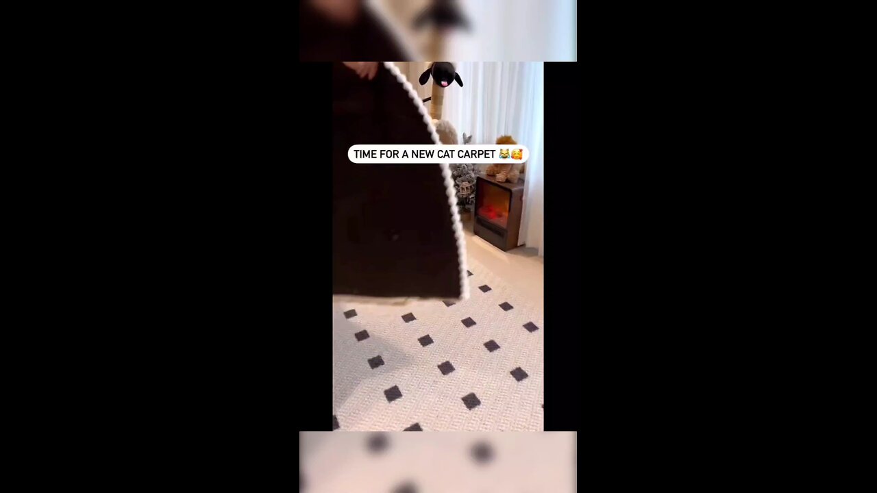 Cat sleeping mat