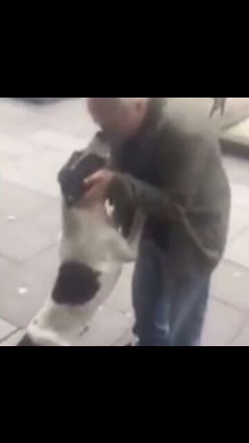 El increíble reencuentro de un anciano con su perro perdido hace 3 años emociona a toda la red