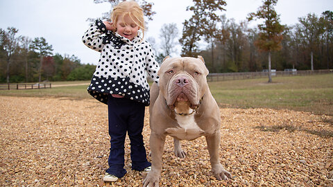 Buster & Chop - The 120lb Pitbulls With $15k Pups