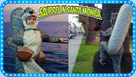 BARBARA HORVAT I LIVED LIKE A SQUIRREL FOR A DAY